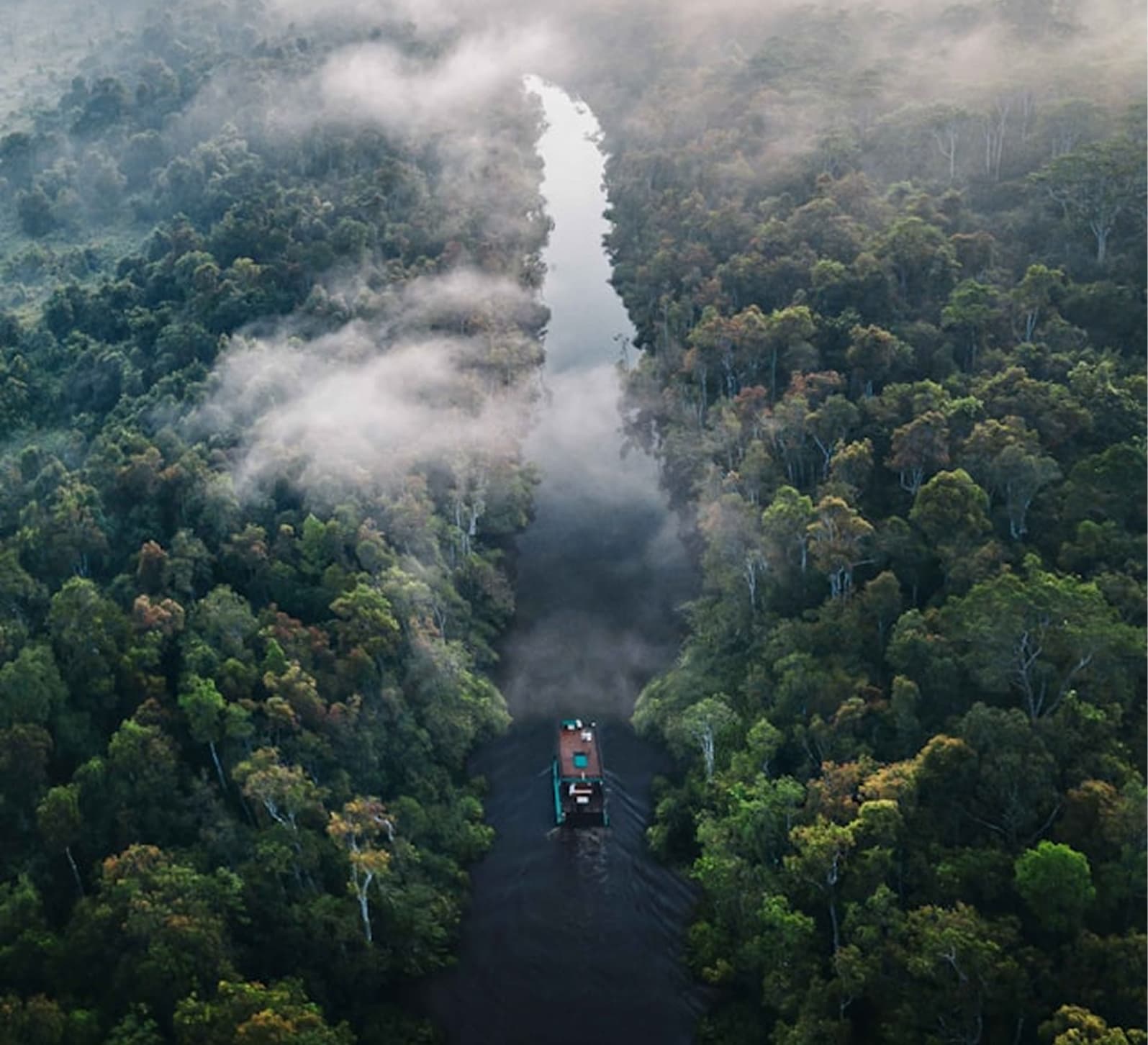Aerial view of a river cutting through dense forest in Brazil