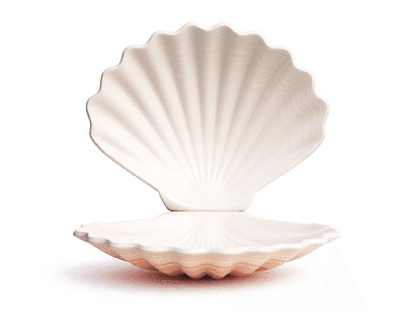 Open pearl shell decoration