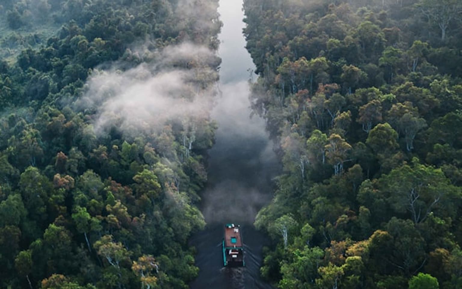 A Wild Amazon Tour